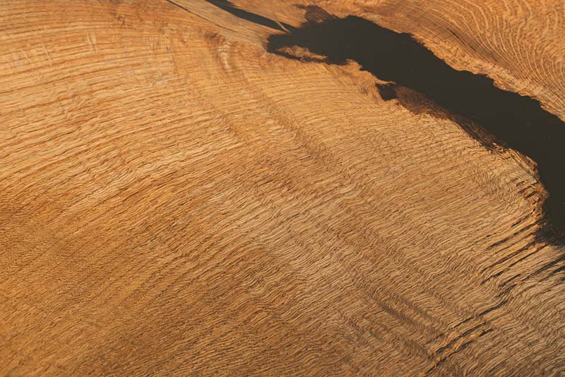 Essenza Legno fossile