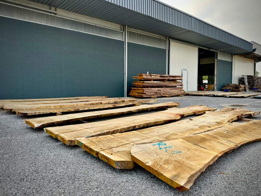 Nel grande showroom, è possibile ammirare alcuni dei tavoli realizzati, le grandi assi naturali e il materiale grezzo, scoprendo la loro particolarità fatta di perfette imperfezioni, di profumi, di storia…
