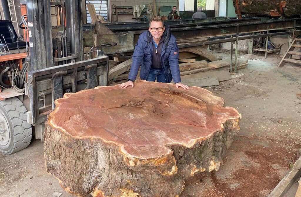 Il 30 agosto 2020, durante una tempesta di eccezionale violenza, oltre 120 alberi nel comune di Udine sono stati abbattuti. Tra questi, ha ceduto anche uno dei più maestosi platani del giardino della piazza Primo Maggio, a oriente della collina su cui sorge il Castello.
Per circa 220 anni quest’albero secolare era stato testimone silenzioso di eventi e cambiamenti, sopravvivendo persino alla furia delle due Guerre e al Terremoto del Friuli del 1976. Offrendo ombra a generazioni di cittadini, era diventato parte del paesaggio urbano e della vita della piazza.